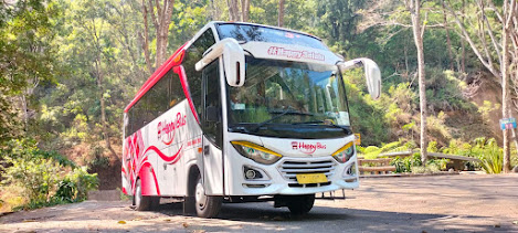 Harga Sewa Bus Jogja Wisata Hutan Pinus Mangunan Harga Sewa Bus Jogja Wisata Hutan Pinus Mangunan